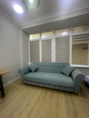 Comfortable apartment in central of Almaty